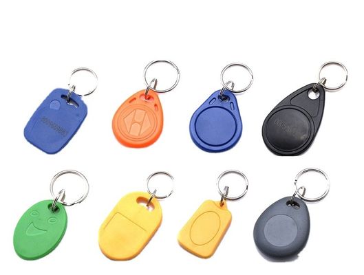 Catena chiave Balnk dell'ABS di NFC di RFID o stampato con Logo For Access Control